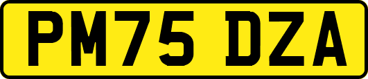 PM75DZA