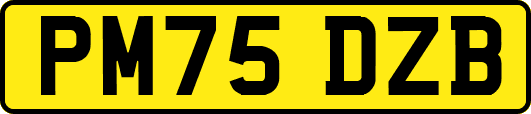 PM75DZB
