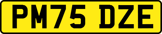 PM75DZE