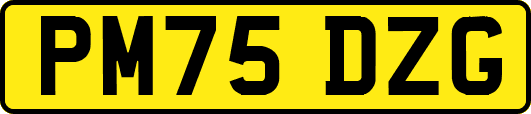 PM75DZG