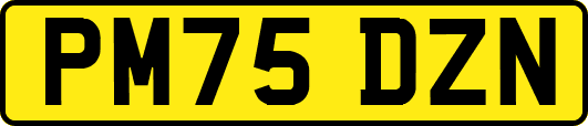 PM75DZN