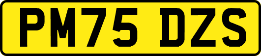 PM75DZS