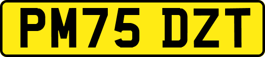 PM75DZT