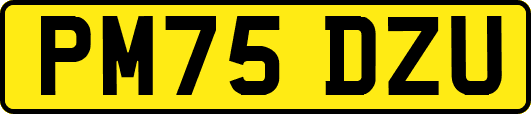 PM75DZU