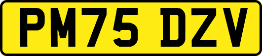 PM75DZV