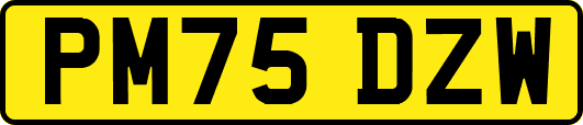 PM75DZW