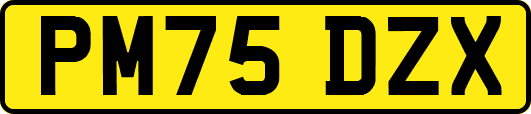 PM75DZX