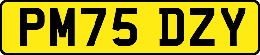 PM75DZY
