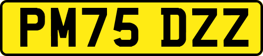 PM75DZZ