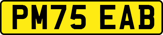 PM75EAB