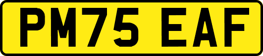 PM75EAF