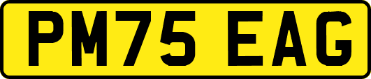 PM75EAG