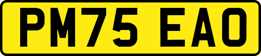 PM75EAO