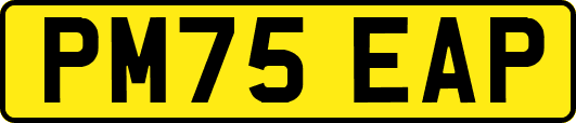 PM75EAP