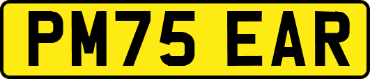 PM75EAR