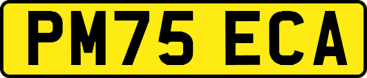 PM75ECA