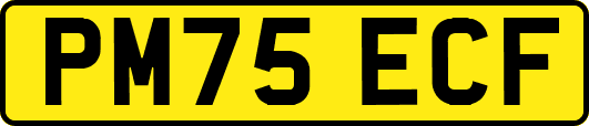 PM75ECF