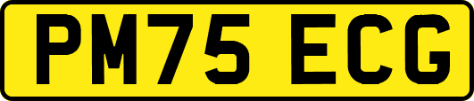PM75ECG