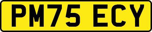 PM75ECY