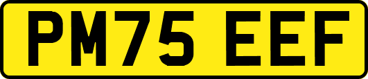 PM75EEF