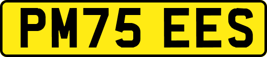PM75EES