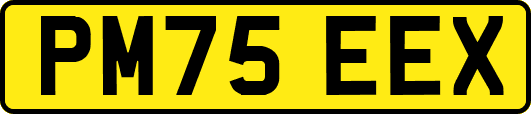 PM75EEX