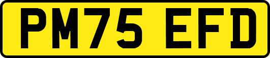 PM75EFD