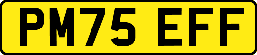 PM75EFF