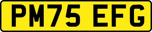 PM75EFG