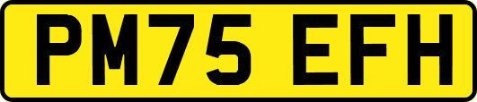 PM75EFH