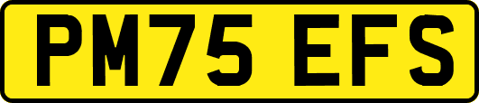 PM75EFS