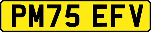 PM75EFV