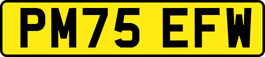 PM75EFW