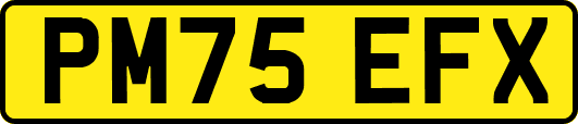 PM75EFX