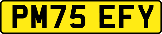 PM75EFY