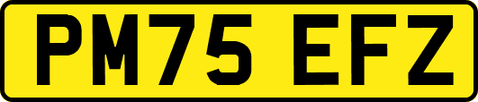 PM75EFZ