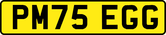 PM75EGG