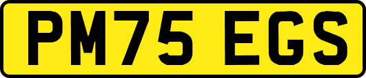 PM75EGS