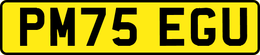 PM75EGU