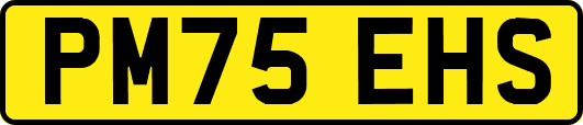PM75EHS