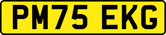 PM75EKG