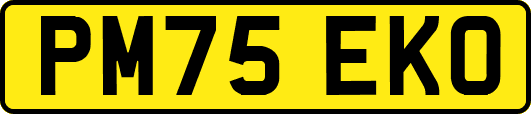 PM75EKO