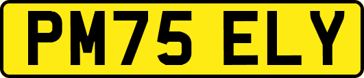 PM75ELY