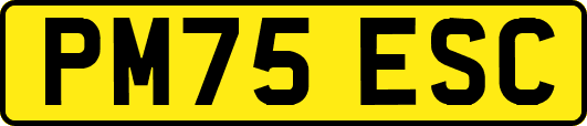 PM75ESC