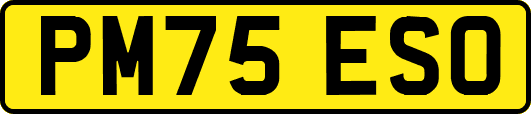 PM75ESO