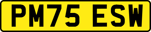 PM75ESW