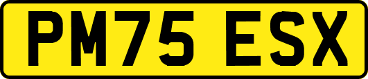 PM75ESX
