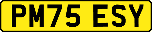 PM75ESY