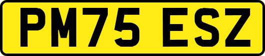 PM75ESZ