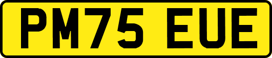 PM75EUE